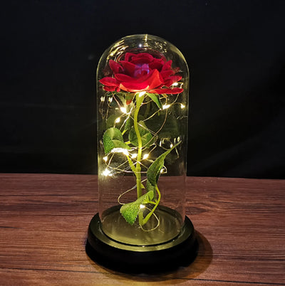 The Enchanted Rose